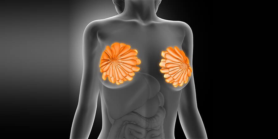 Procedure of Breast Augmentation - Dr Meghna Bagalkotkar